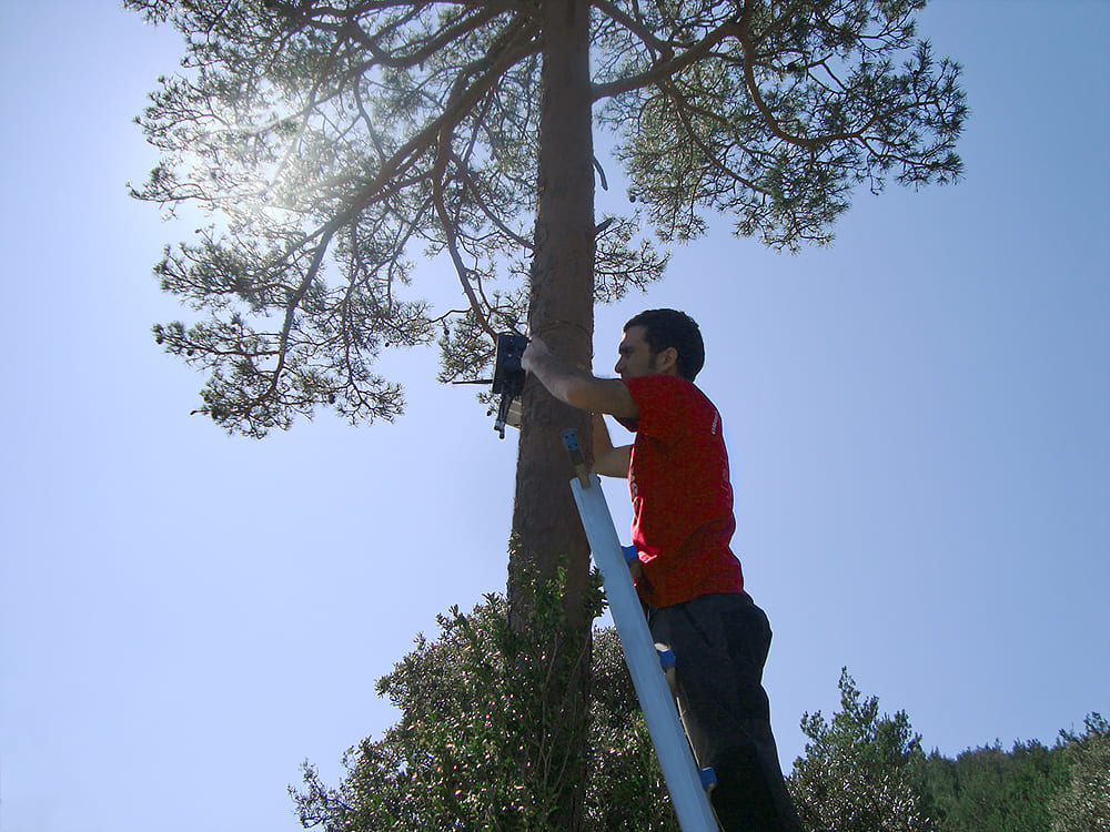 Installing sensor nodes in optimal locations for forest fire detection