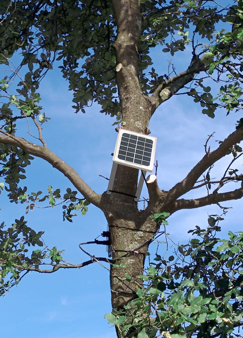 Waspmote Plug & Sense! Smart Environment sensor node