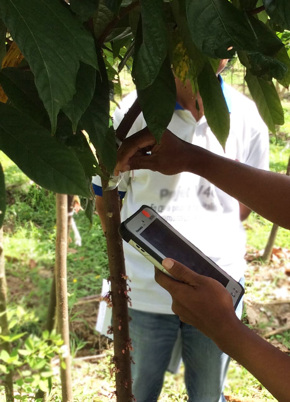 FWMS-Tree-Tagging