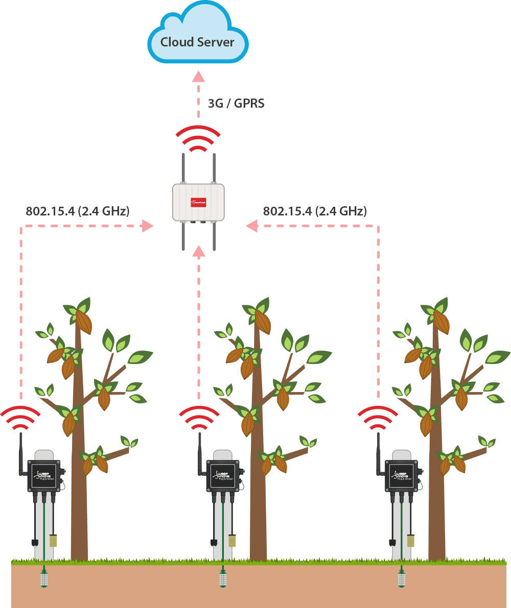 WSN Agriculture Diagram