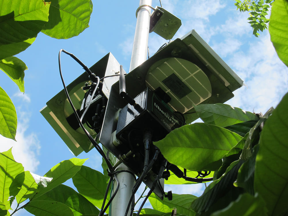 Waspmote in situ, Plug & Sense! Agriculture