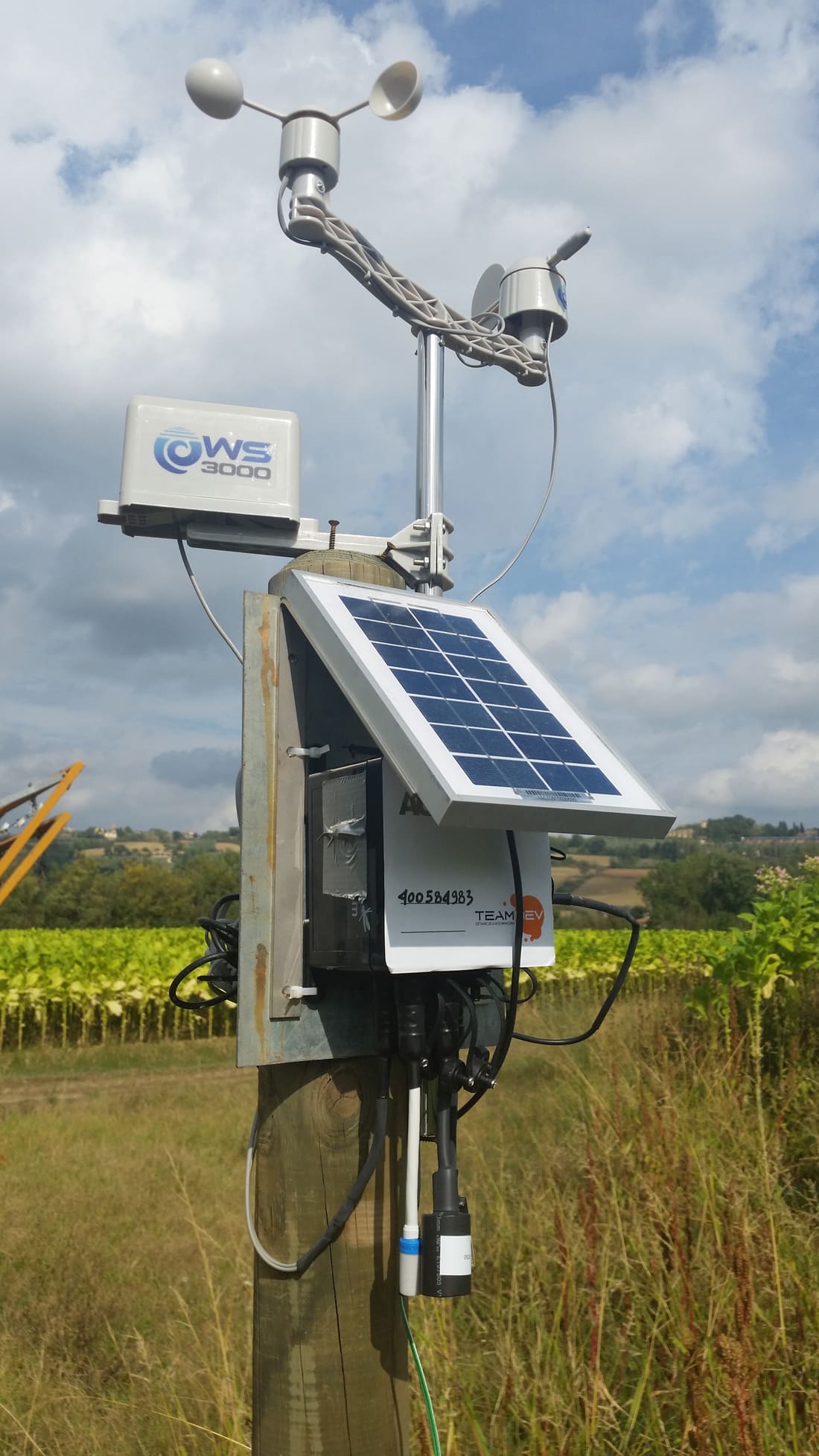 One of the sensor nodes installed in tobacco’s crops One of the sensor nodes installed in tobacco’s crops