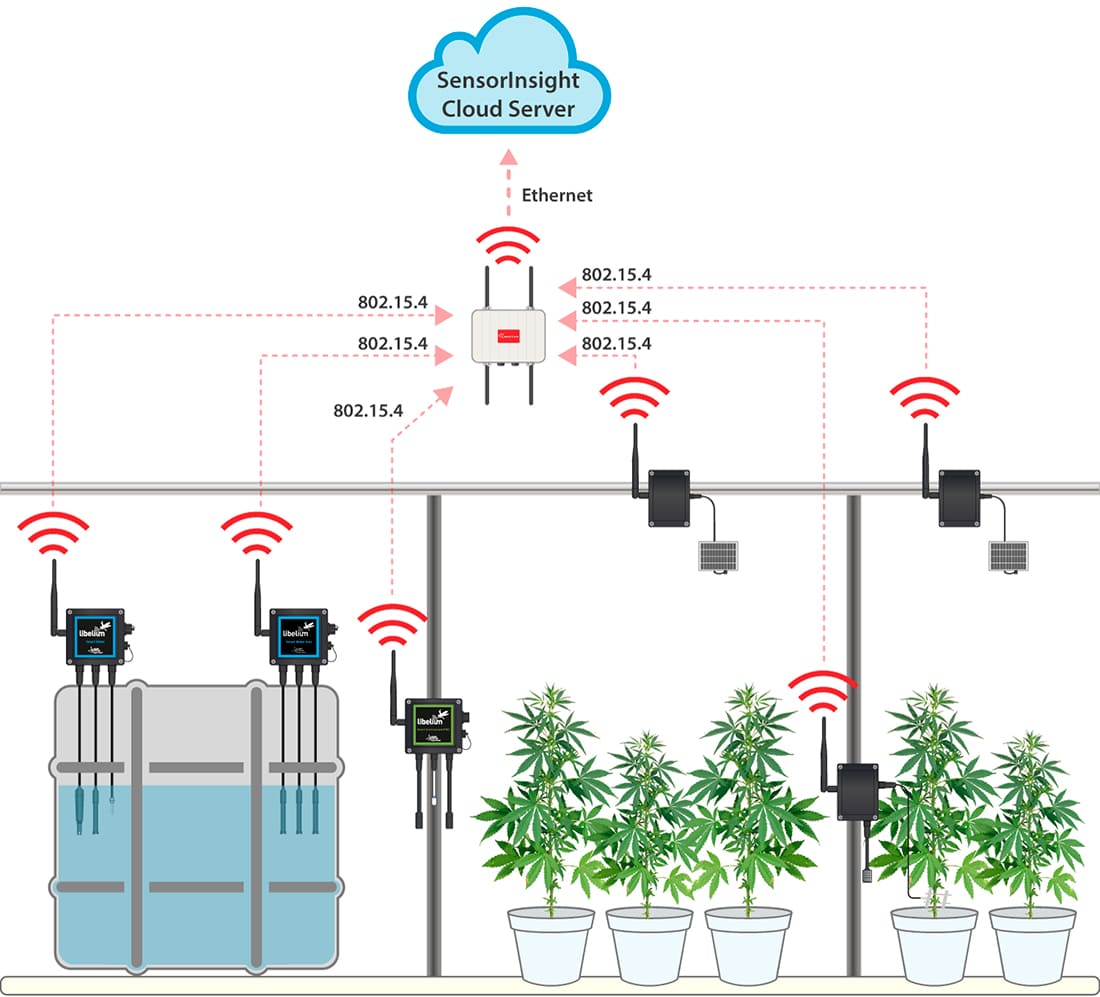 Indoor Precision Farming deployment for medical marijuana plantations in Phoenix Indoor Precision Farming deployment for medical marijuana plantations in Phoenix