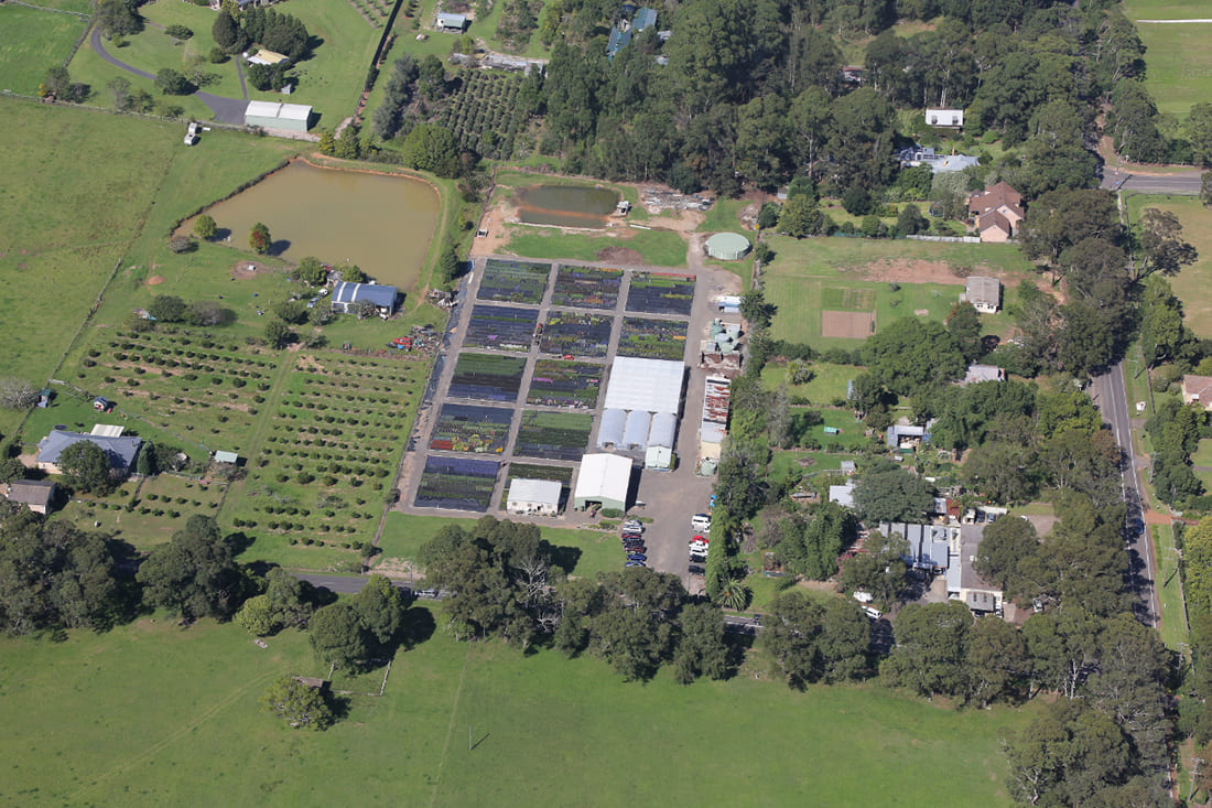 Aerial view or Cameron's Nursery Aerial view or Cameron's Nursery