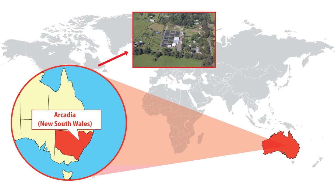 Cameron's Nursery location in Arcadia (Australia) Cameron's Nursery location in Arcadia (Australia)