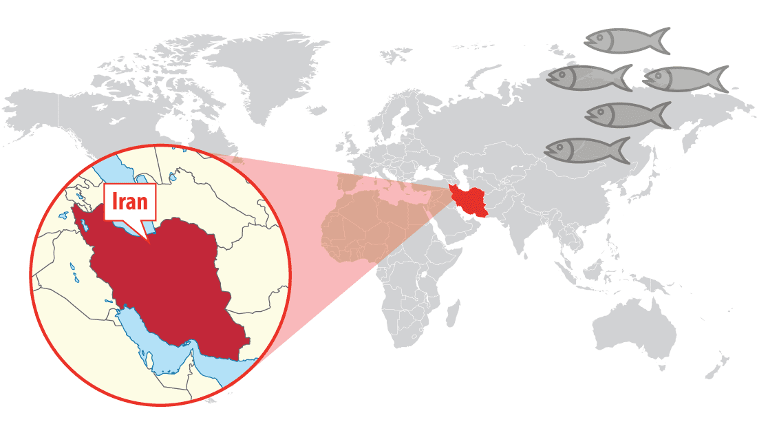 Location of Iran Location of Iran