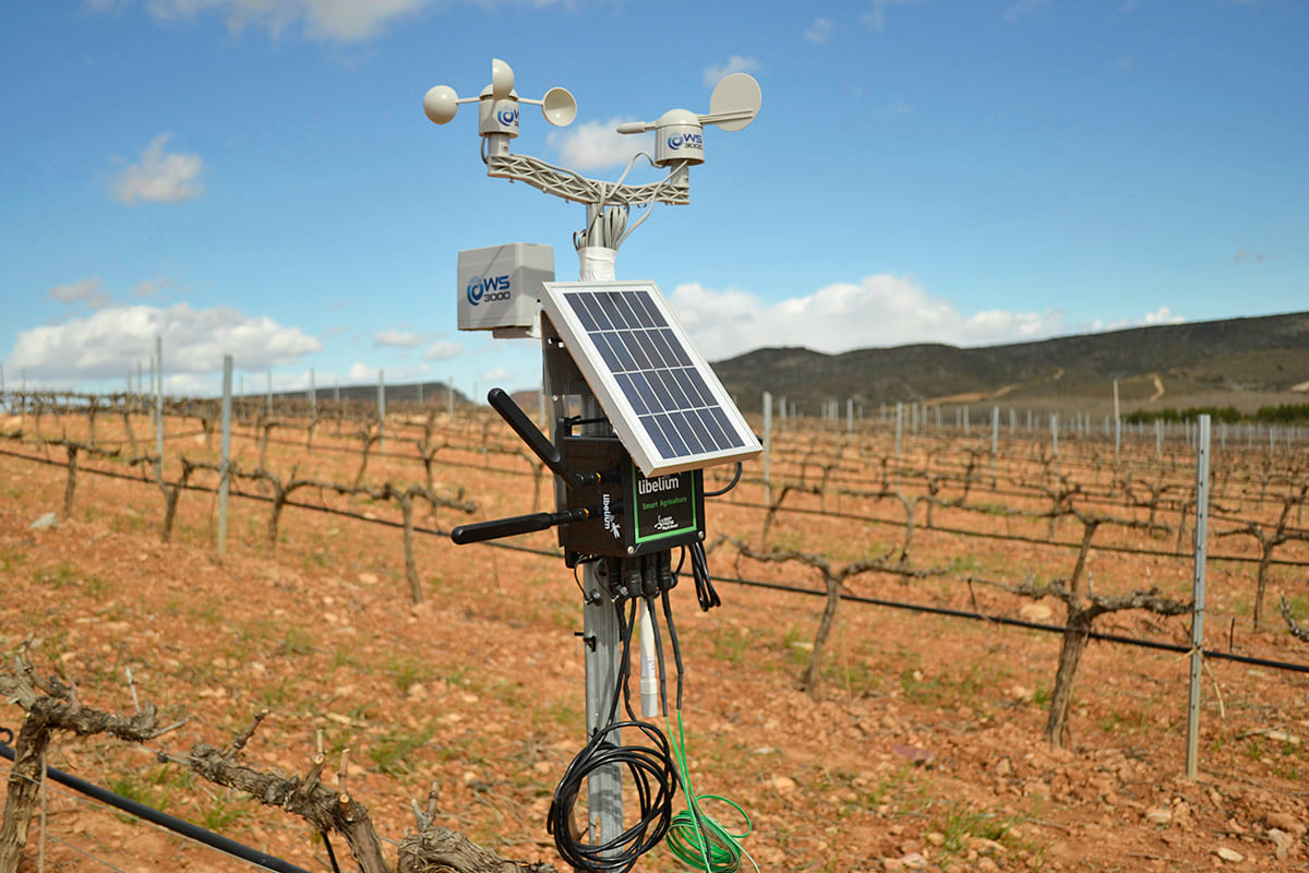 Waspmote Plug & Sense! Smart Agriculture at Pago Aylés Winery Waspmote Plug & Sense! Smart Agriculture at Pago Aylés Winery