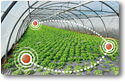 Waspmote to create a complete Smart Agriculture system