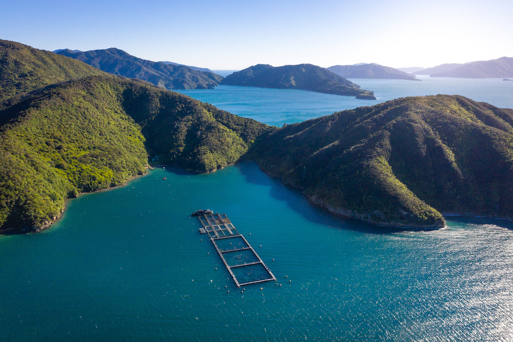 Water monitoring King Salmon farms Marlborough Sounds