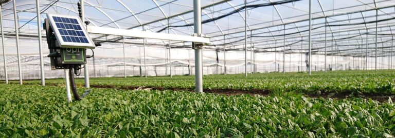 Libelium adds to its portfolio Evja’s award-winning smart agriculture solution