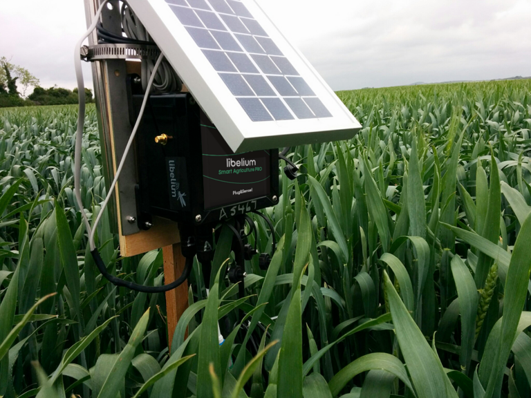 Smart Farming and Agriculture IOT Solutions
