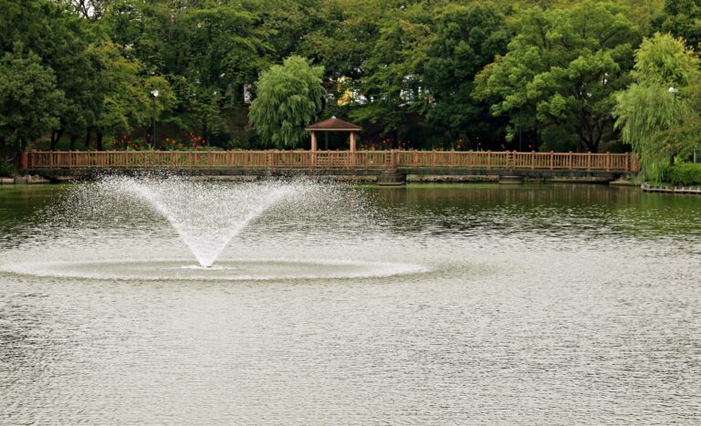 Gestión del agua en zonas verdes