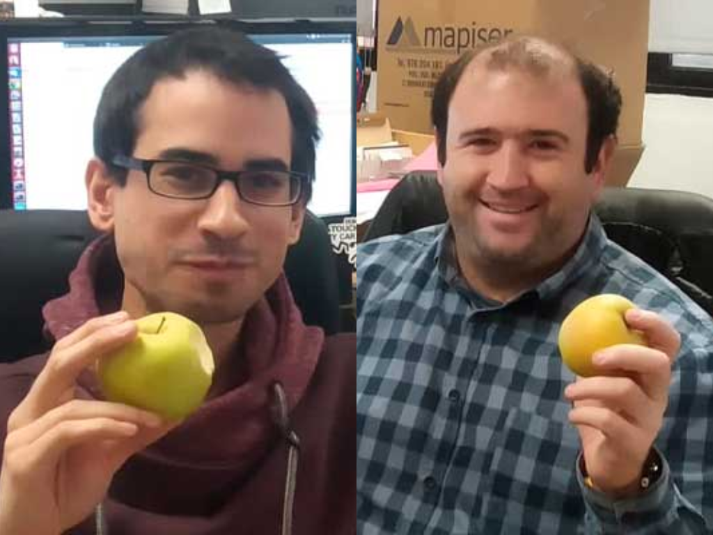 Fruit Buffet for Employers